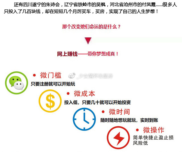 揭秘百分百精准一肖一码，流程、释义与落实