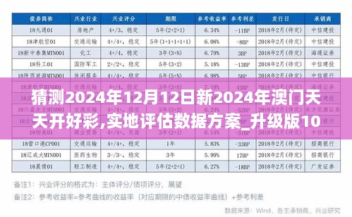 新澳门夭夭好彩职能释义解释落实，探索与启示