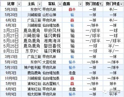 新澳内部资料精准一码波色表，中心释义解释落实