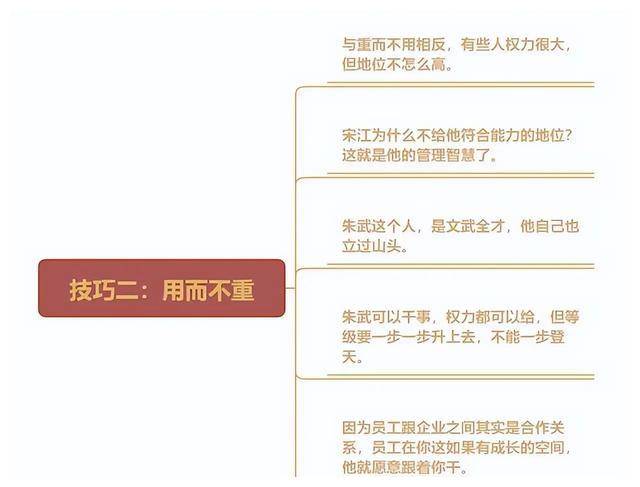 精准一肖一码一子一中，诚实释义与行动落实的重要性