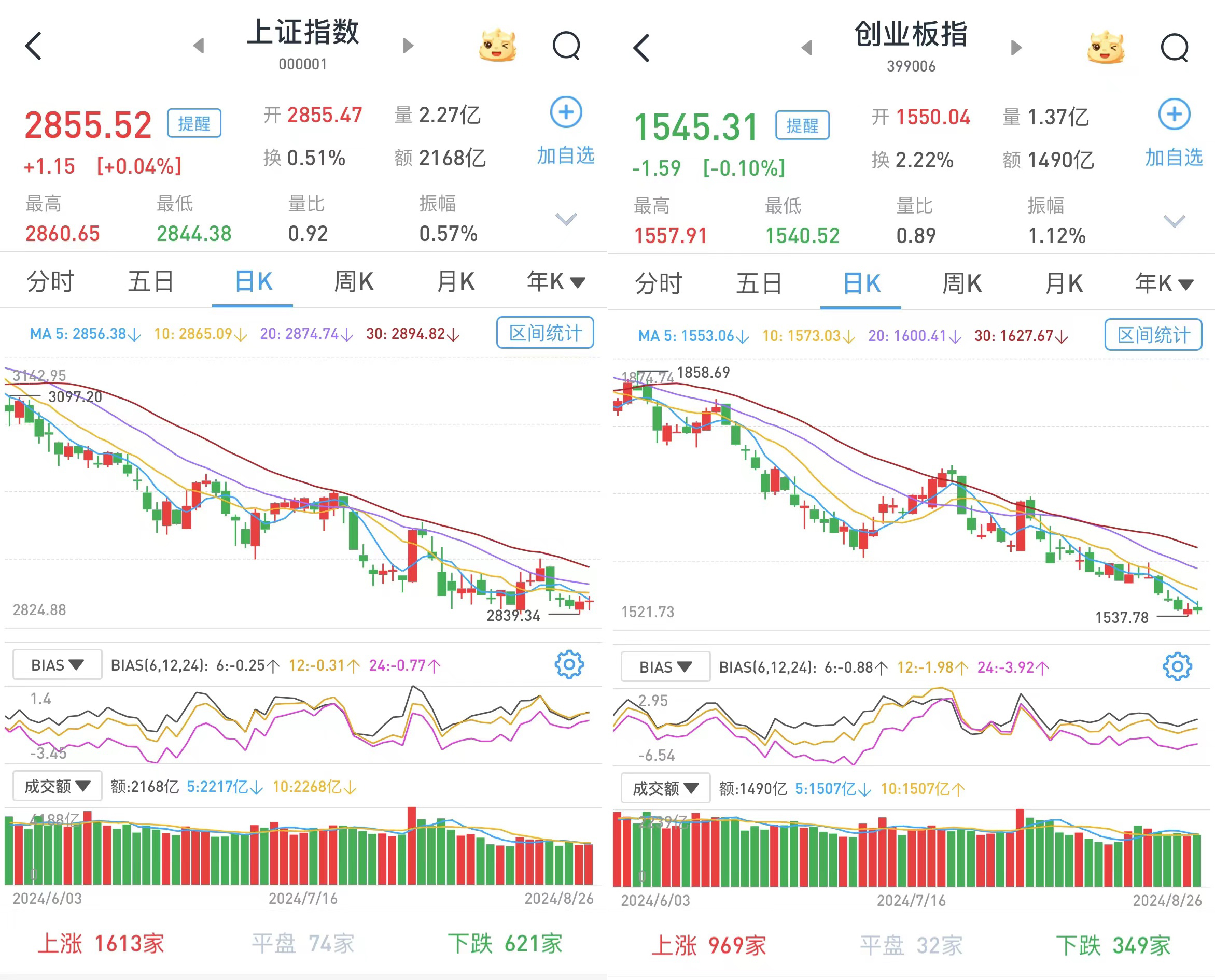 揭秘未来，2025特大牛市即将爆发——以心释义解读市场走向