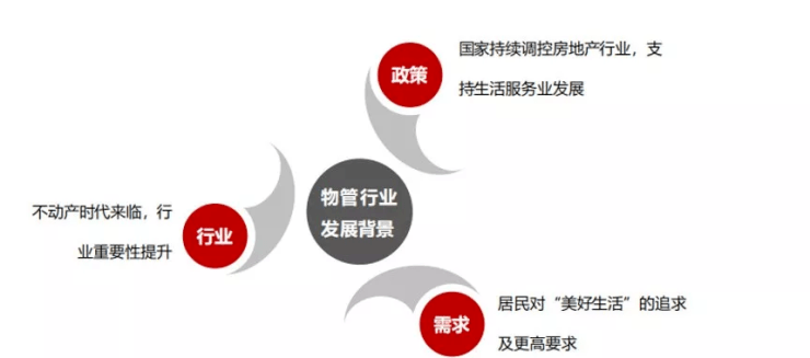 探索未来，聚焦新澳的精准资料与落实策略